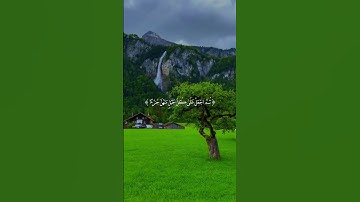 اكتب شئ تؤجر عليه 🤍😭#عبدالله_أحمد_شعبان#قرآن #اكسبلور #قران_كريم #تلاوة_خاشعة #راحة_نفسية