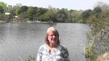 Internet Traffic Formula - Internet Traffic Hero