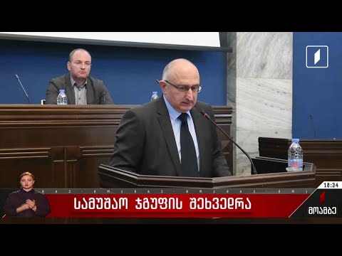 სამუშაო ჯგუფის შეხვედრა