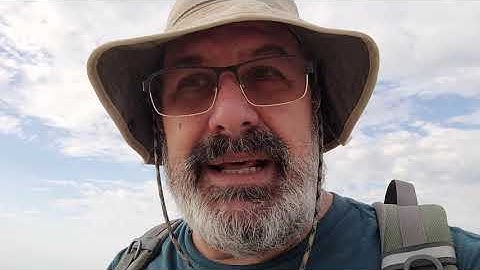 Texas Fossil Hunting - Ammonites and Echinoids!