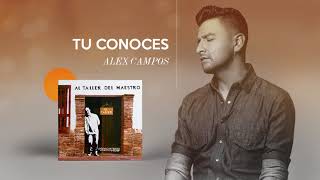 Vignette de la vidéo "Tu conoces - Al taller del maestro - Alex Campos (Audio - Video Cover)"