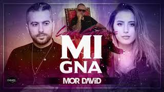 Mi Gna - Super Sako & Avi Panel ft. Zehava Cohen | Mor David Remix - מור דוד רמיקס רשמי - מי גנה
