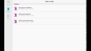 FMG Open Filemaker Go