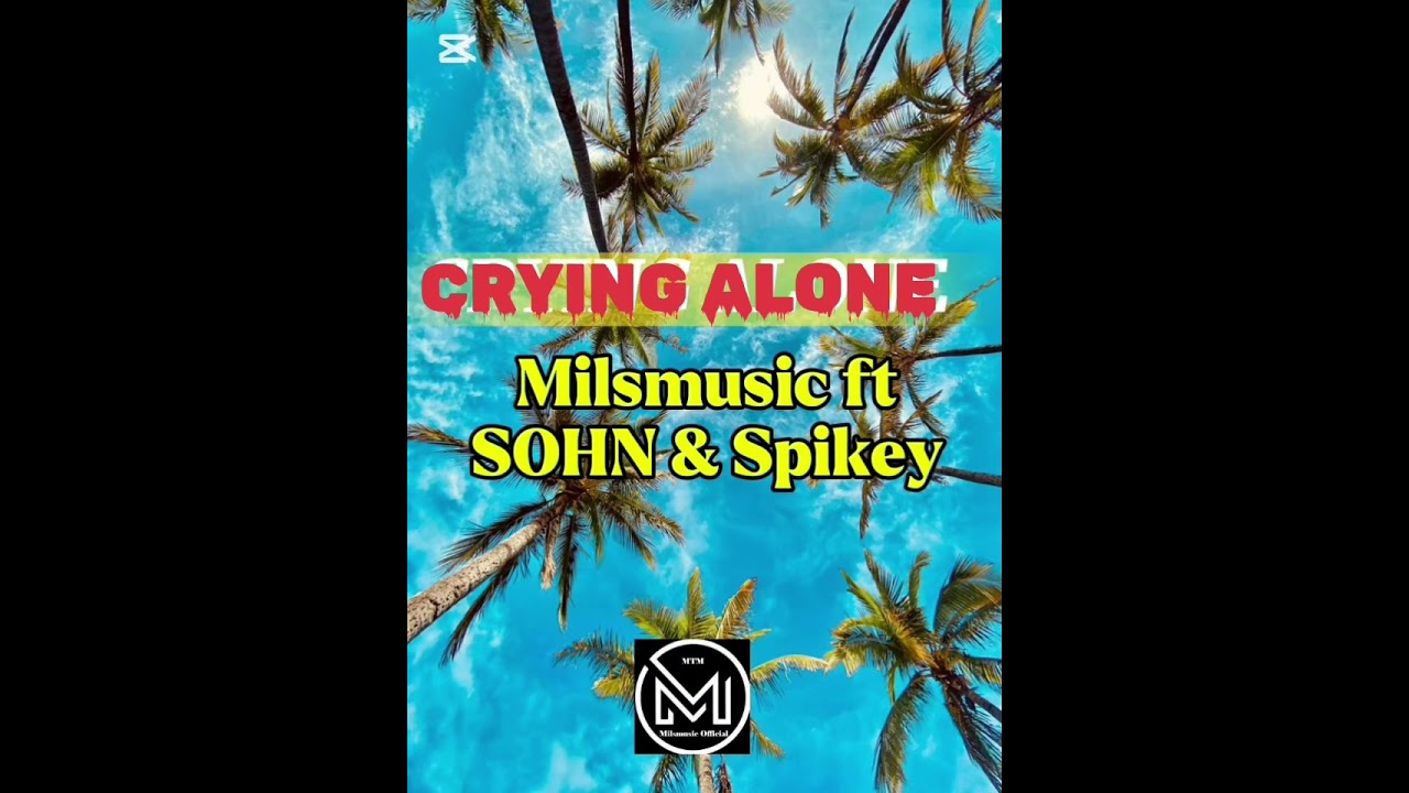 Crying Alone ( Milsmusic ft SOHN & Spikey ) official audio 2025