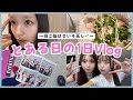 【Vlog】ハマってるせいろ蒸し🌱急遽1日を撮影してみたよ✌🏻