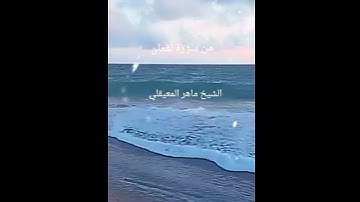 من سورة لقمان الشيخ ماهر المعيقلي #cupcatedit #cupcute #cupcuttemplate #اكسبلور #أدعية_مستجابة