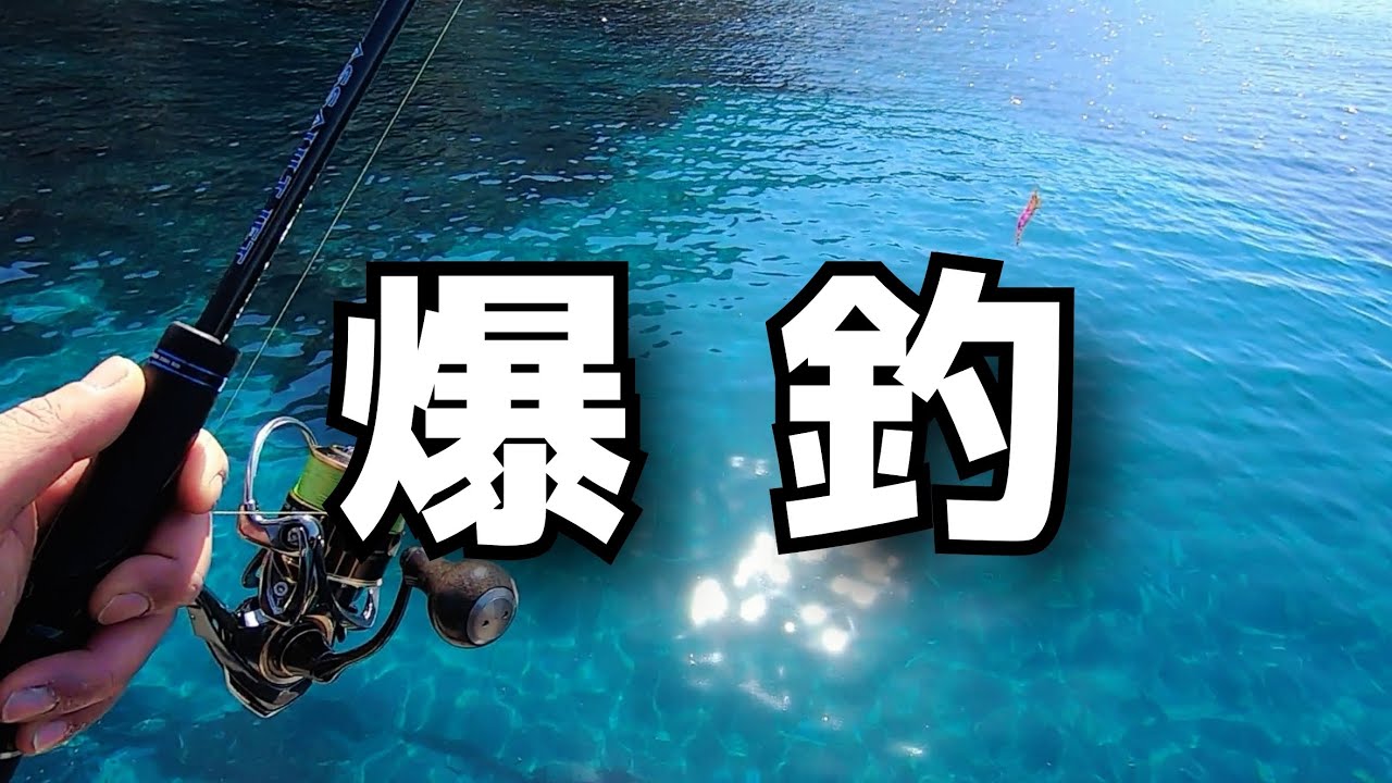 【エギング】2月イカが爆発！？しました