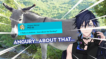 Yugo explained to me what donkey means