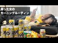 A〇で食えなくなった女のリアルなモーニングルーティンが終わってる。