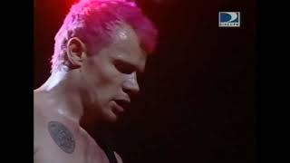 Red Hot Chili Peppers - Brazil 1999  (Full Show)