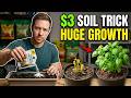 THAT’S WHY THE INDUSTRY COVERED IT UP: A $3 Soil Trick That Explodes Plant Growth