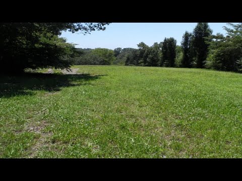 815 Moss St, Chattanooga, TN home video tour