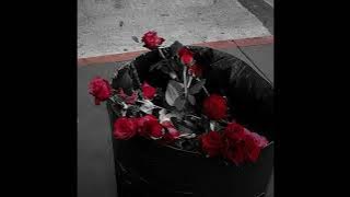 VIOLENT VIRA - Missing Posters (Slowed and Reverb)