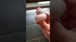Weird Squeaky Duck Squeaking For 1 Minute. Not Click Bait