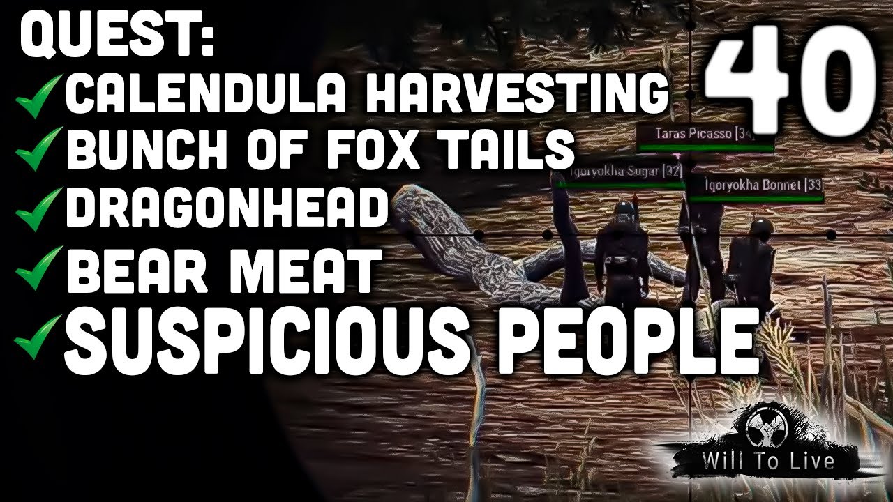 [40 🇧🇷] WTLO: PROCURANDO NPC´S COM MERCADORIAS VALIOSAS NO SWAMP ...