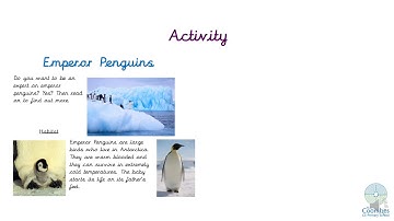 Key Stage 1 Reading - Lesson 3 Non-Fiction