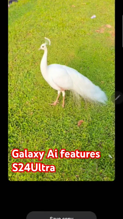Samsung galaxy Ai features #s24ultra #aifeatures