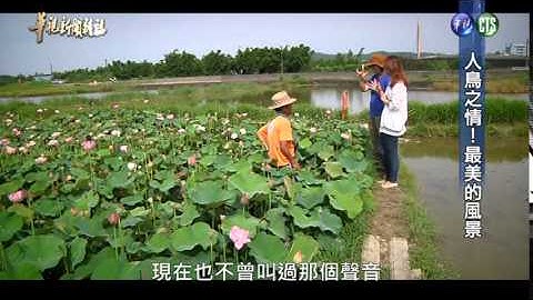 【人鸟之情 最美的风景】华视新闻杂志 2015.07.11 - 天天要闻