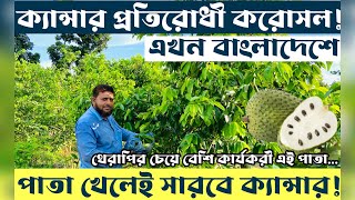 করোসল (corossol) ক্যান্সার প্রতিরোধক ফল বাংলাদেশের মাটিতে | উদ্যোক্তার খোঁজে