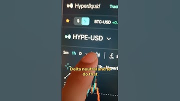 Making $100K With Hyperliquid L1 HyperEVM - Part 4