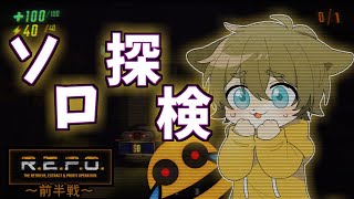 【リスナーさん見守って....(？？)】日月(陽)の全力ホラー配信【#repo  単発】