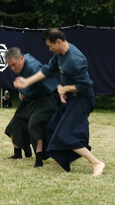 Old Style Japanese Jujutsu in Slow Motion