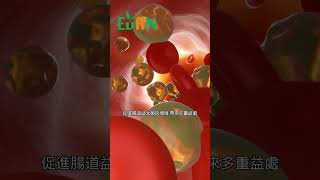 水溶性膳食纖維還能降低低密度脂蛋白水平，促進腸道益生菌的增殖#艾門享受健康計畫 #飲食計畫 #減肥 #瘦身 #健康  #蔬果漾 #優菌多 #亮妍肌漾