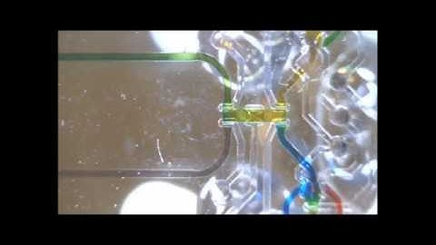 An automated optofluidic biosensor platform combining...