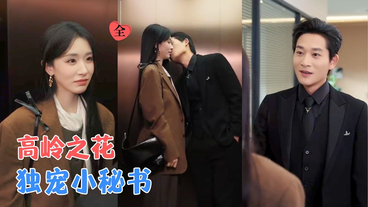 联姻被毁，她加班撞上顶头上司，他替她挡渣男撕婚约，给她独一份偏爱