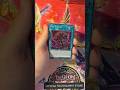 Day 51 Until QCR Meowls #music #yugioh #yugiohcommunity #yugiohcards #tcg #yugiohcardbox #cardgame