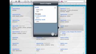 Czech English Dictionary & Translator for iPad by BitKnights screenshot 4