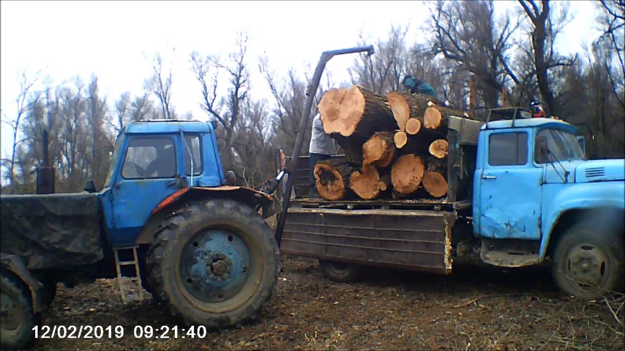 Нужно вывести из леса 35 бревен трактор. Т 40 С дровами. Погрузка леса трактором т 40. МТЗ 80 возит дрова. Погрузка брёвен ЗИЛ-131.