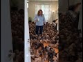 When Your Kid Brings Home 1,000 Dachshunds... FOR FREE 🐶😱