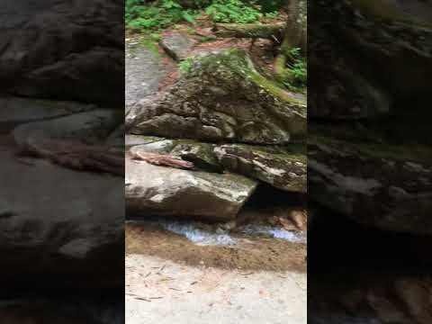 Franconia Notch State