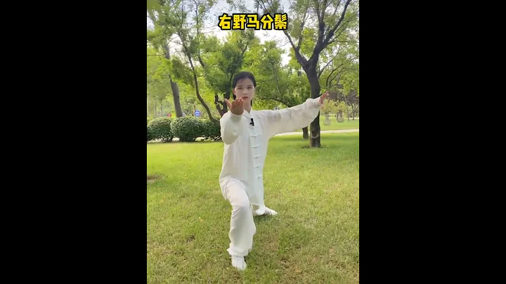 Kungfu Girl 四十二式太極拳教學（5） - 天天要聞