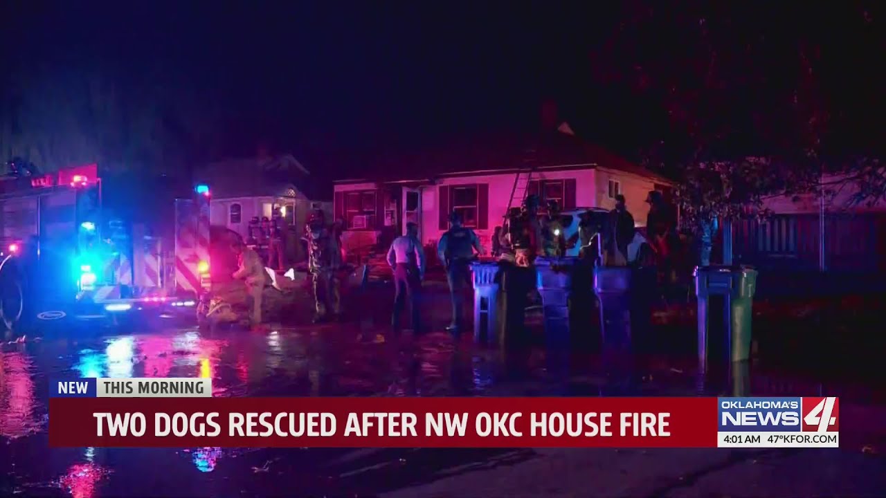 Fire crews save dogs following NW Oklahoma City house fire - YouTube