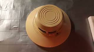 TESTING MY NEW SYSTEM SENSOR 2451 SMOKE DETECTOR!!!!!!!