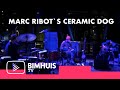 Ref:IZqUI39vJKA Bimhuis tv presents: ceramic dog