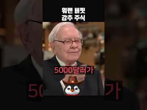   앞으로 딴짓 말고 이 주식 사모으세요 Feat 워렌 버핏