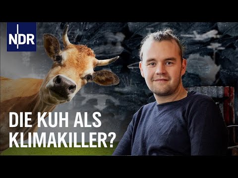 Rindfleisch - Genuss ohne Gewissensbisse? | The Green Garage | NDR Doku