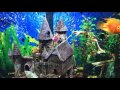 Top Fin 55 Gallon Aquarium Review & Tips Top Fin 55 Gallon Aquarium Review & Tips