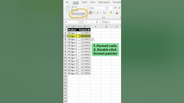 Format Painter Tip in Excel! #exceltips #sheets #exceltutorials #format #workhacks #funfacts
