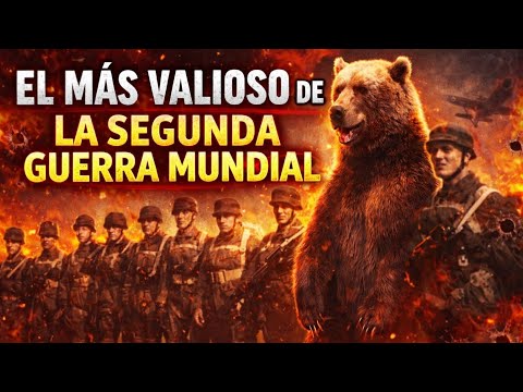 El mas vali oso de la segunda guerra mundial