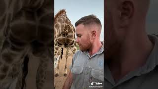 Celebrity #animals #python #snakes #wild #discovery(1) Wealth