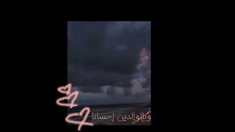 تلاوه هادئه عن بر الوالدين | ستوريات قرآن| حالات واتس دينيه 🖤🖤.