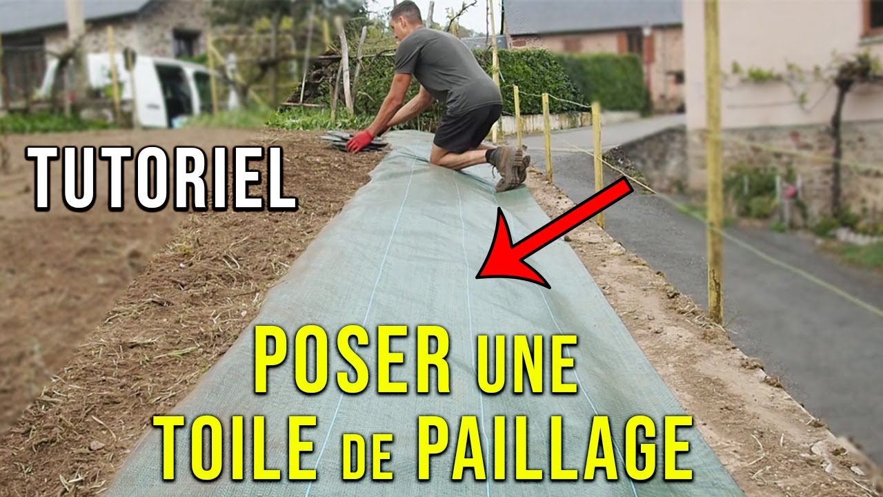 La POSE d'une TOILE de PAILLAGE TISSÉE 