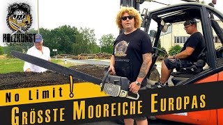 No Limit! / Größte Mooreiche Europas / Holzkunst Scholz offiziell