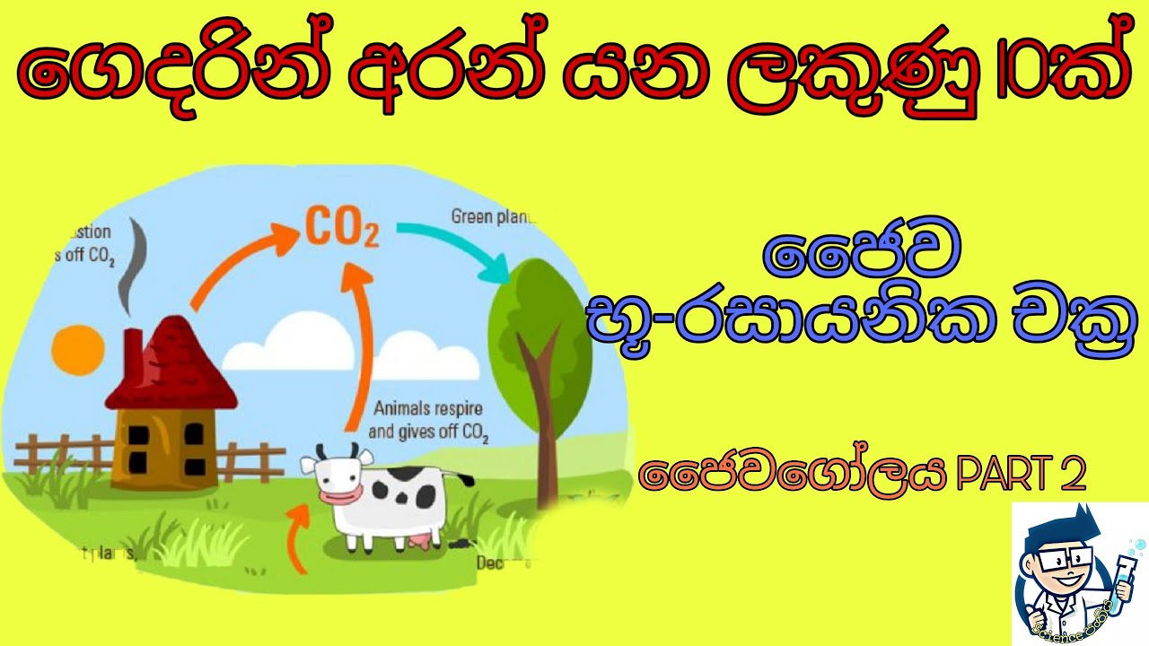O l science sinhala grade 11 unit 15 jaiwagolaya part 2