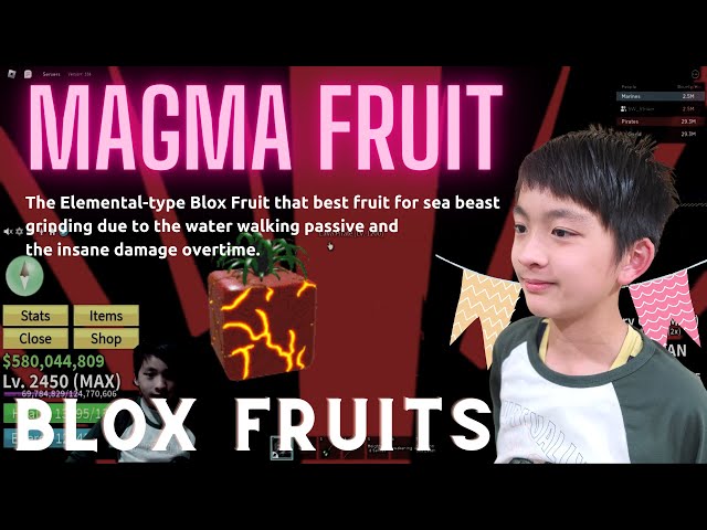 THEY COMPLETELY CHANGED THE MAGMA FRUIT! *New best?!* Roblox blox