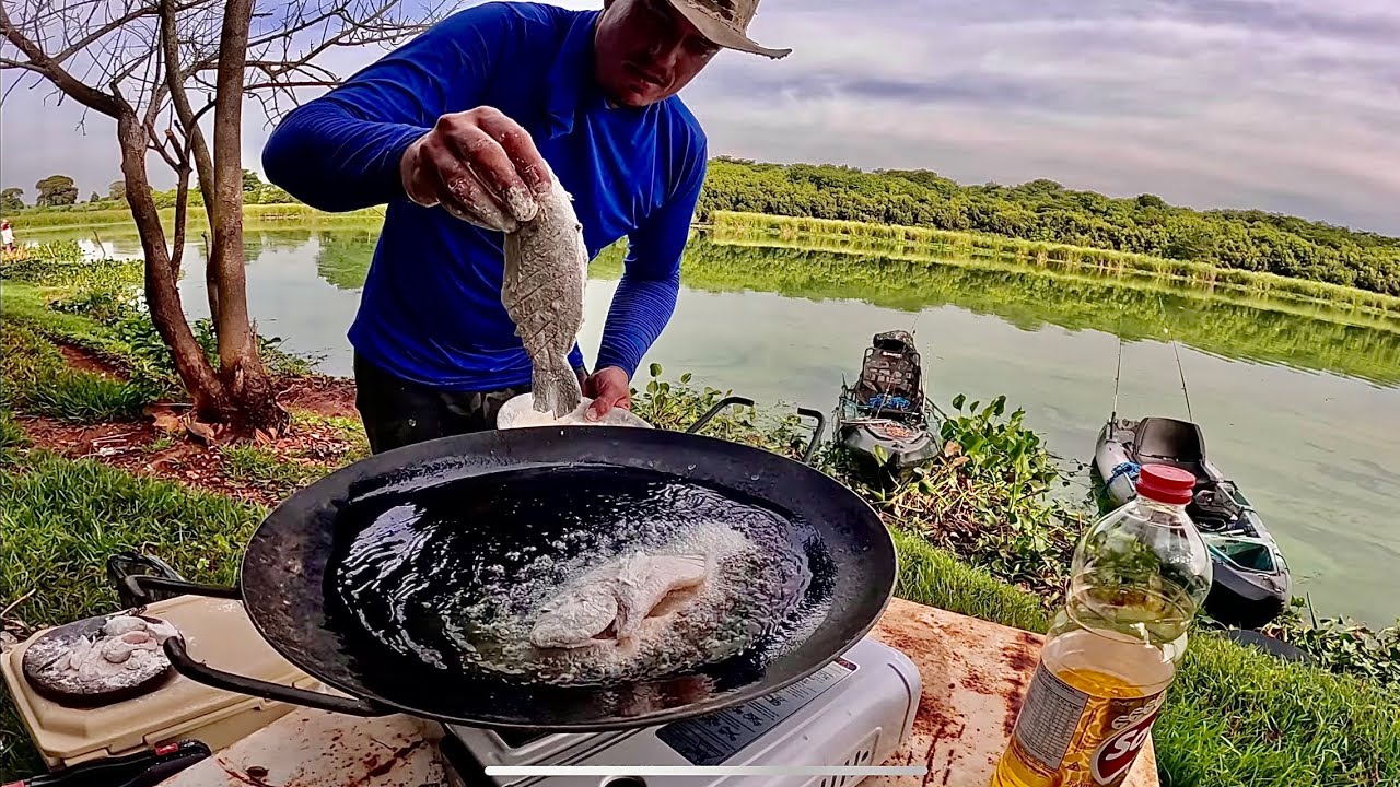 É ISSO QUE ESTÁ ME ACONTECENDO !!! Fritei os Peixes inteiro no Disco..